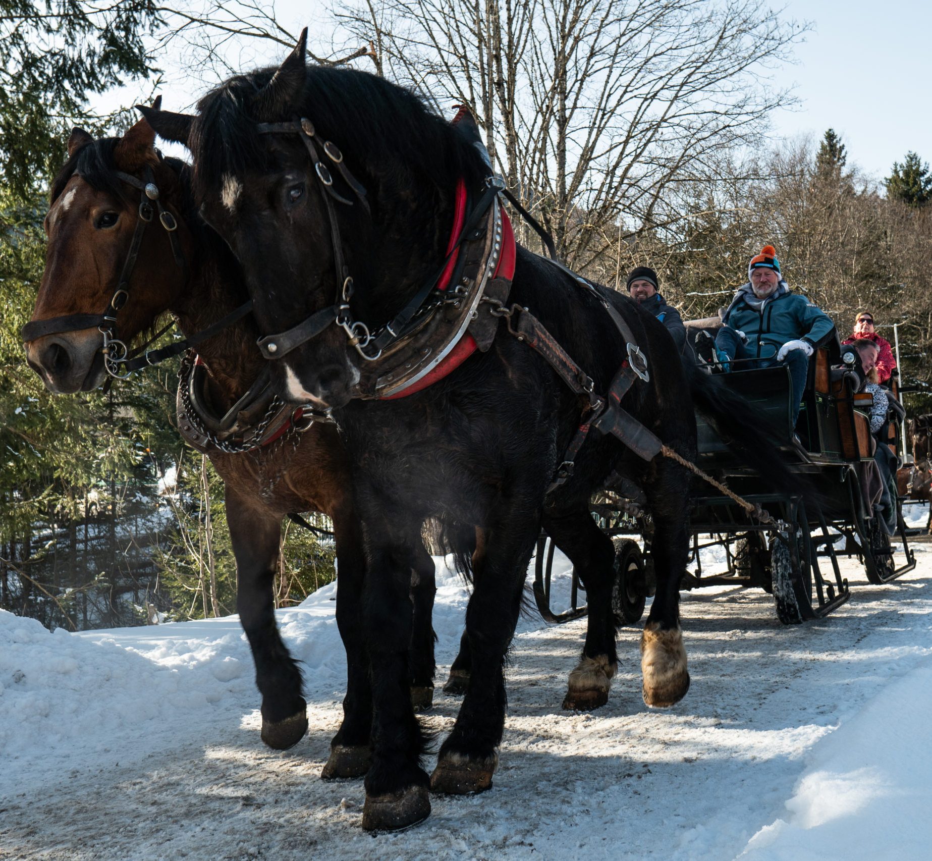 Arrenslee tocht met Snowbreaks