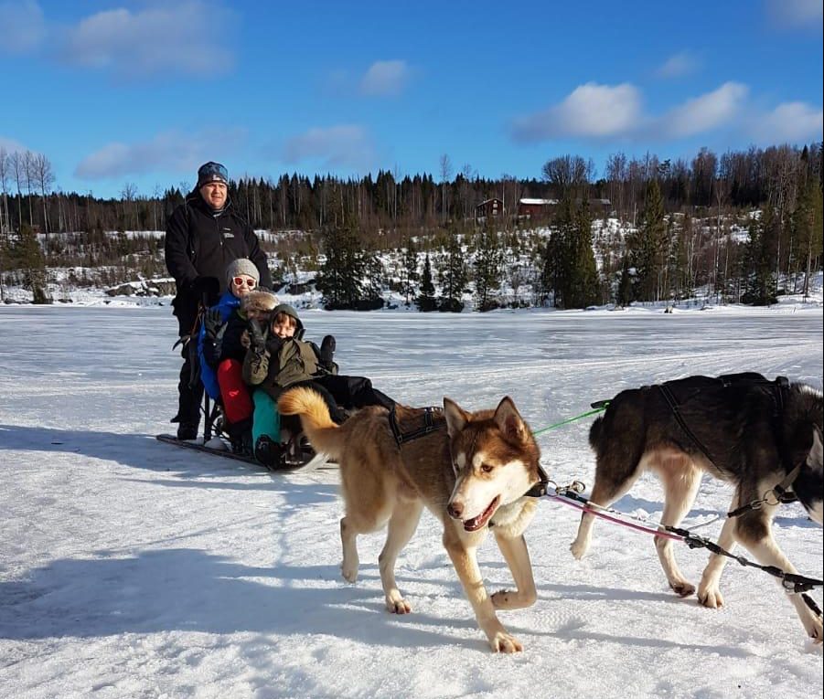 Huskyslede in Zweden