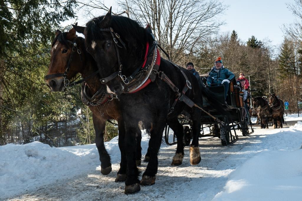 Arrenslee tocht in Oostenrijk